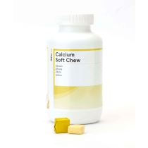 Kaltsium pehme närimistbl N90 sidrunimaitseline